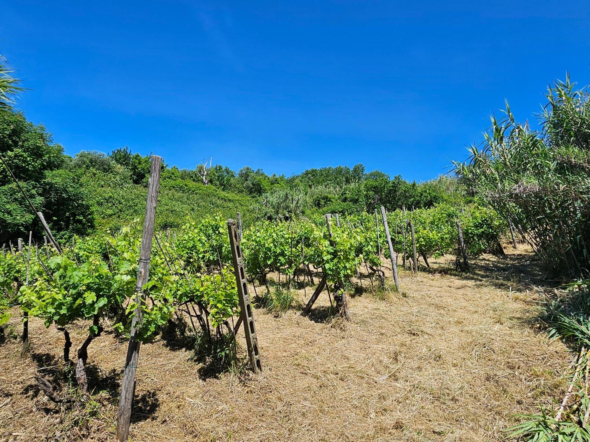 Villa Poderi Lenzi à Lucques Extérieur photo